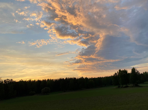 Moose Safari-赫尔辛基必去景点