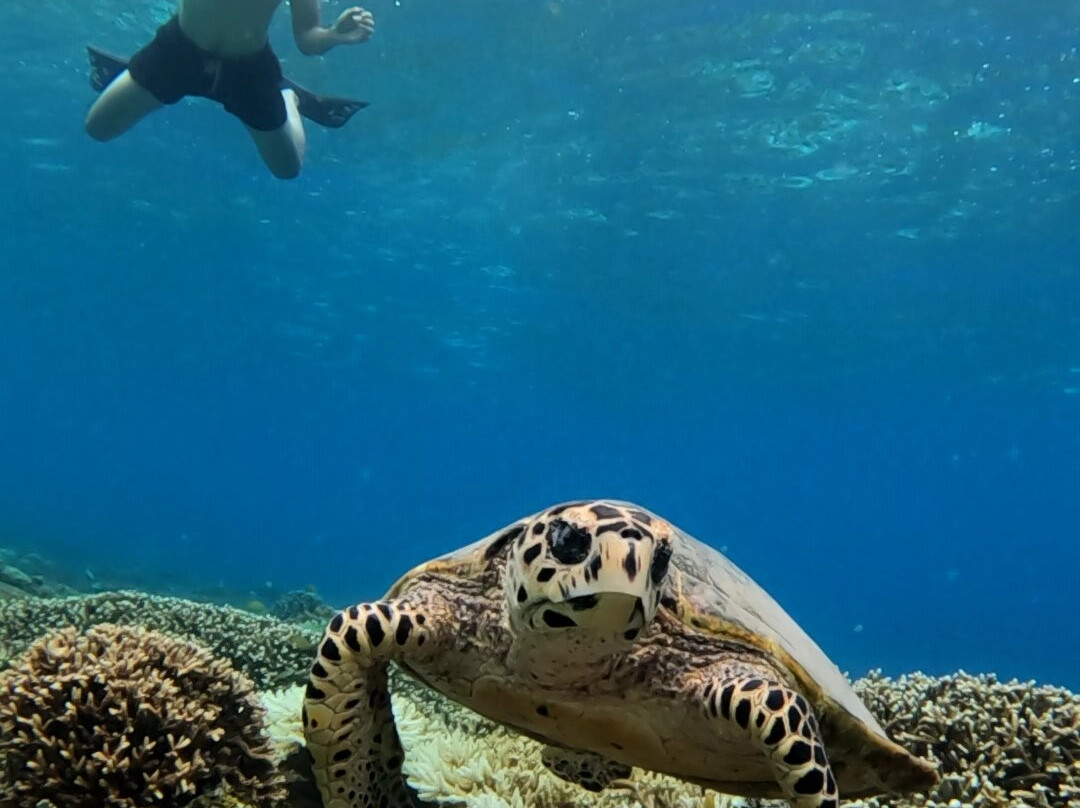 Gili View-吉利特拉万安必去景点