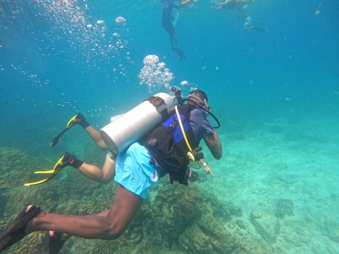 Paradise Blue Center-迪拜必去景点