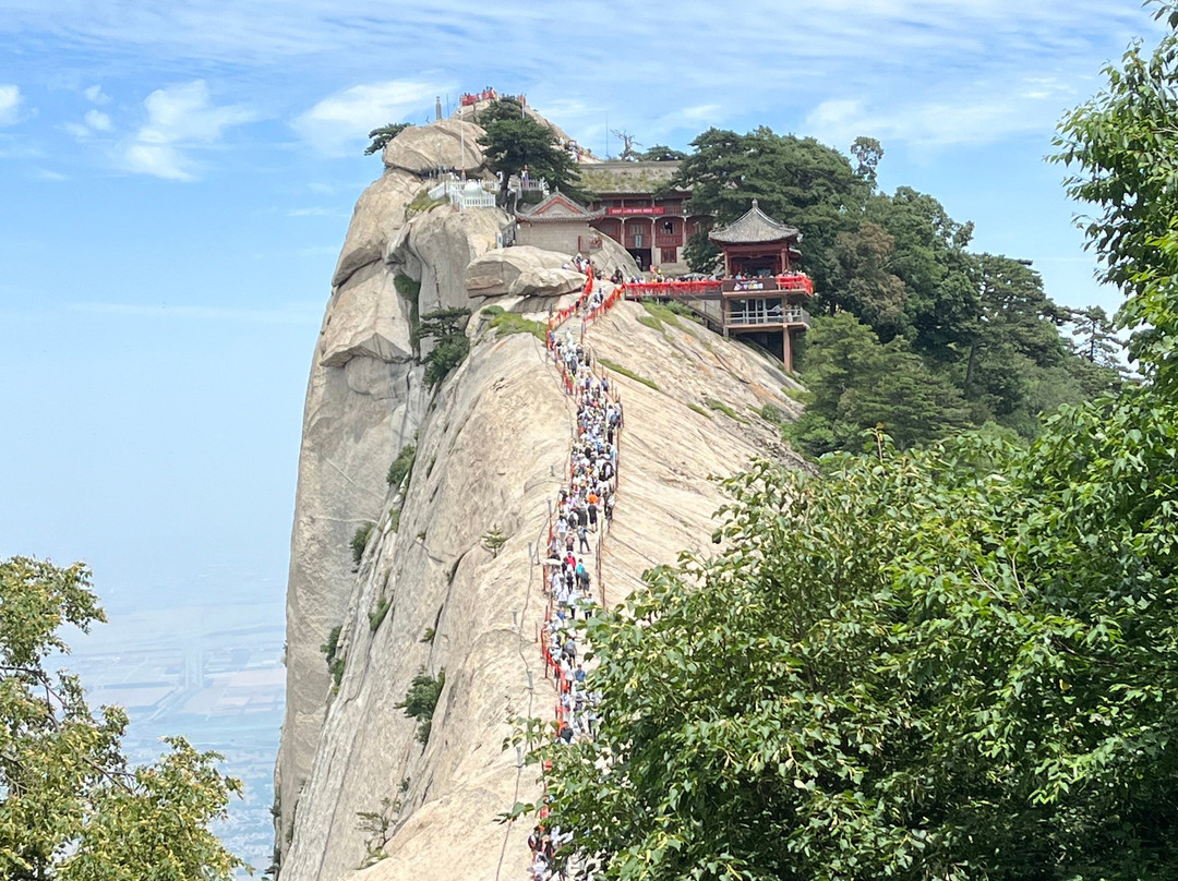 Xian Tour Expert - Day Tour-西安市必去景点