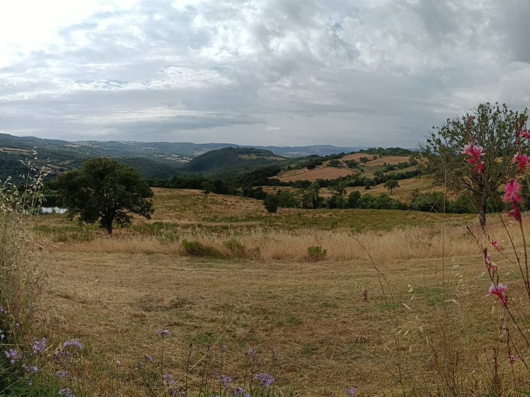 Agriturismo Sugheretello主图