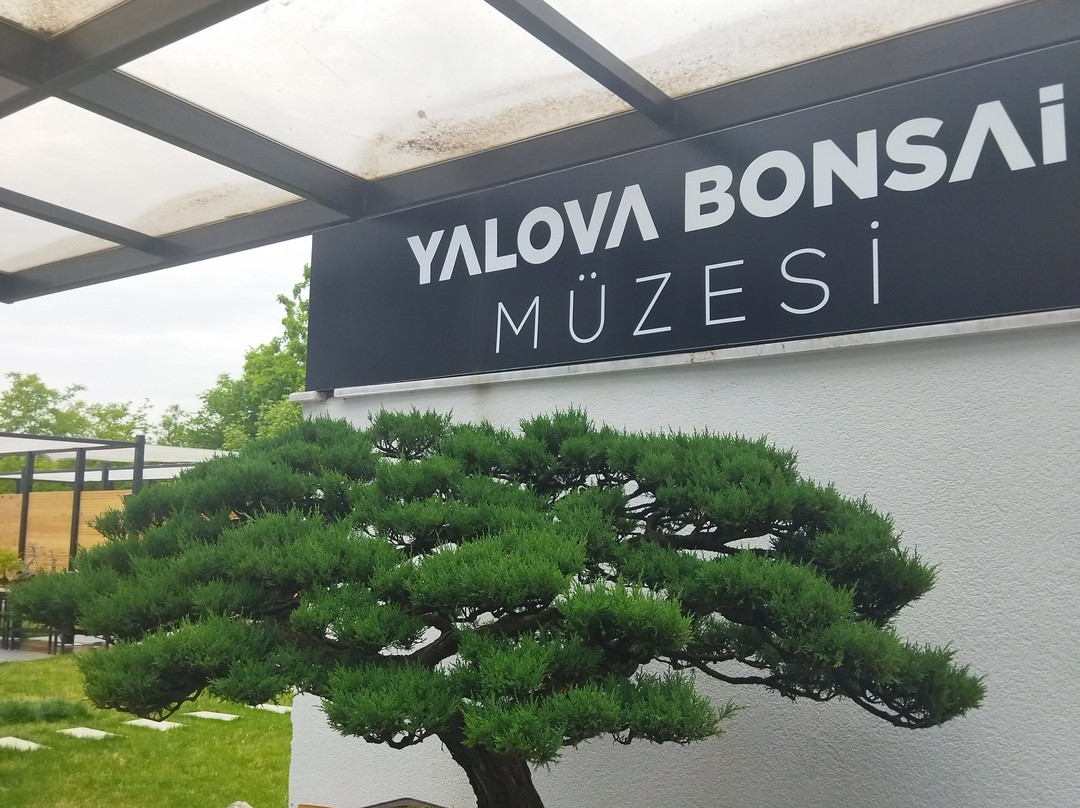 Yalova Bonsai Müzesi-Yalova必去景点