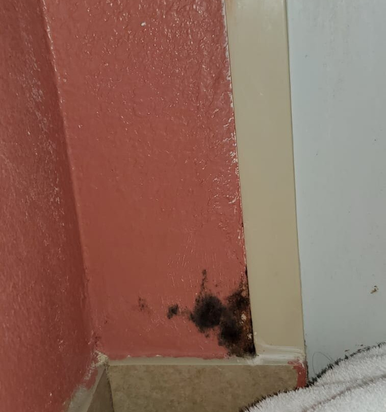 梅因盖特南凯富套房酒店主图