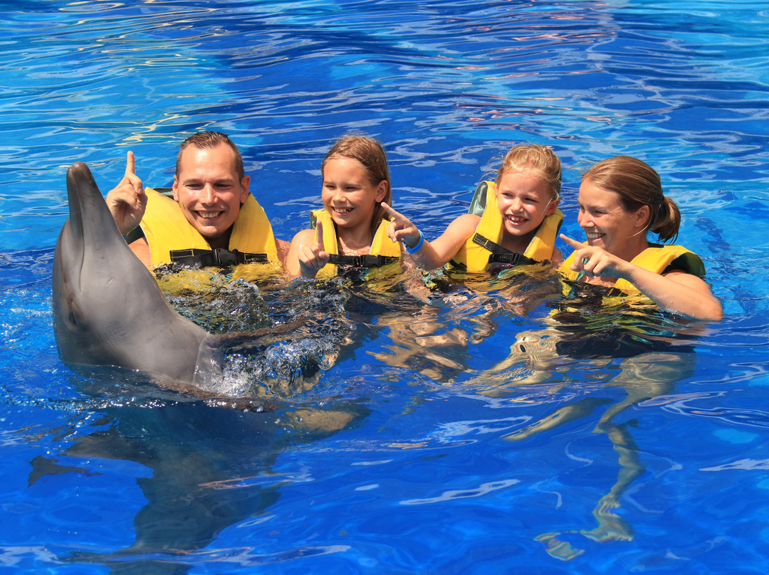 Bali Exotic Marine Park-登巴萨必去景点