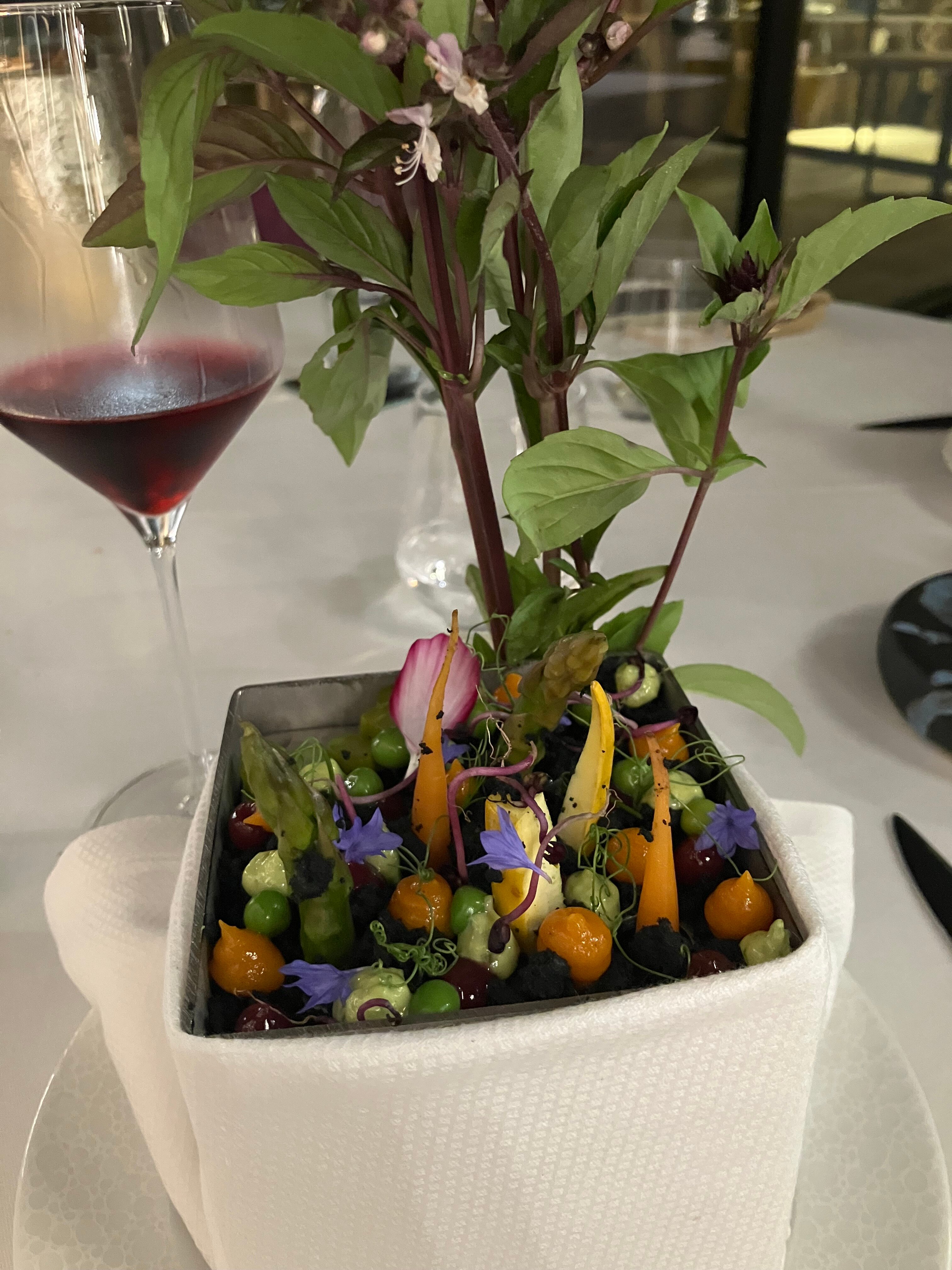 Les Regalia Hôtel & Spa-官方