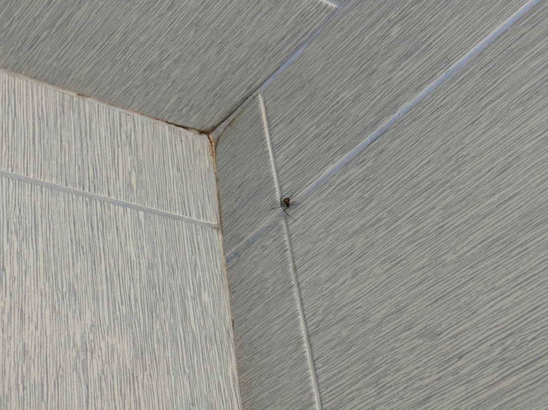 Art Hotel Galeria主图