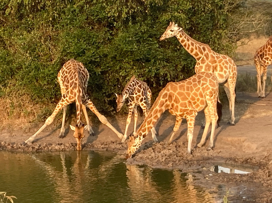 Bujuku Eco Tours & Travel Ltd-Kasese必去景点