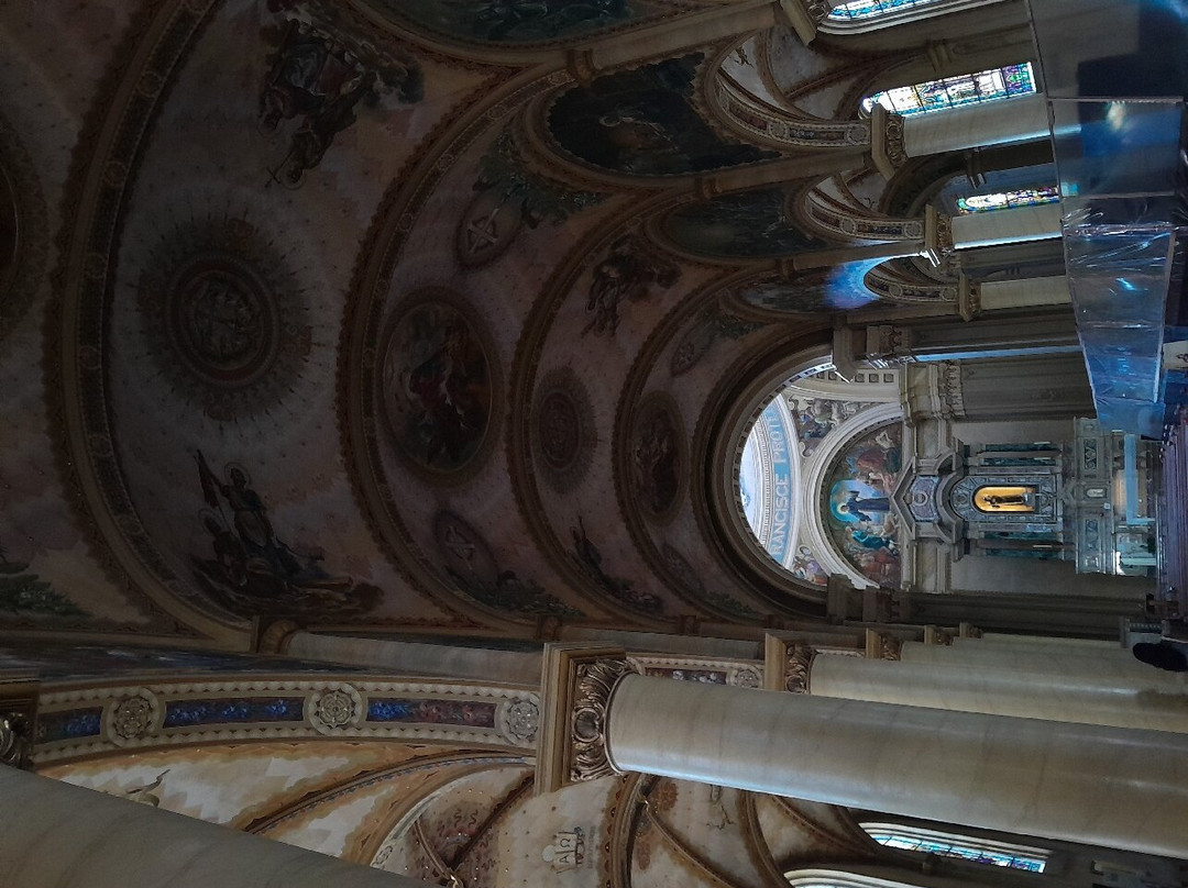 Catedral Metropolitana de Sao Francisco de Paula景点图片
