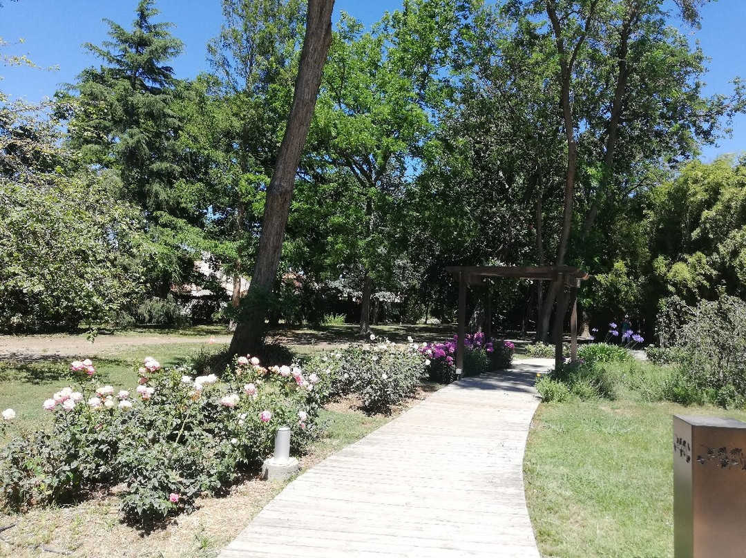 Jardin des plantes des Capellans-Saint-Cyprien必去景点