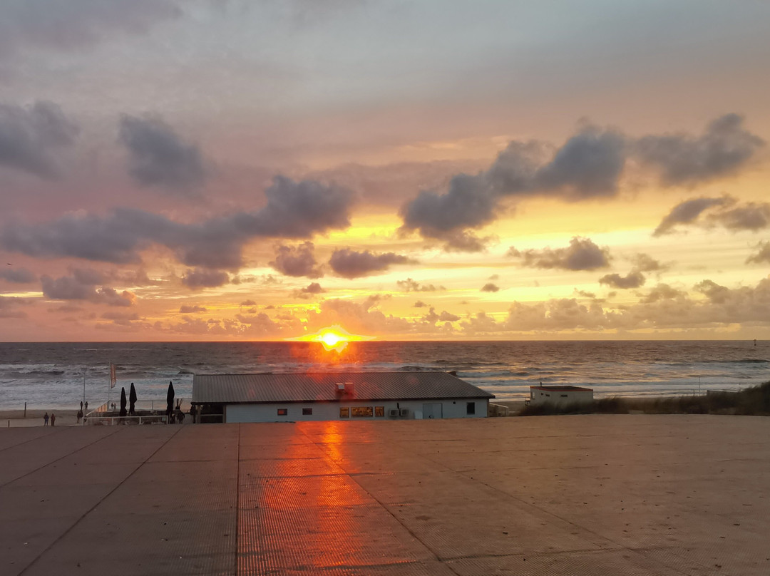 Strandhotel Noordzee主图