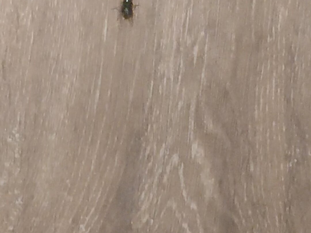 The Fern Sardar Sarovar Resort, Ekta Nagar主图