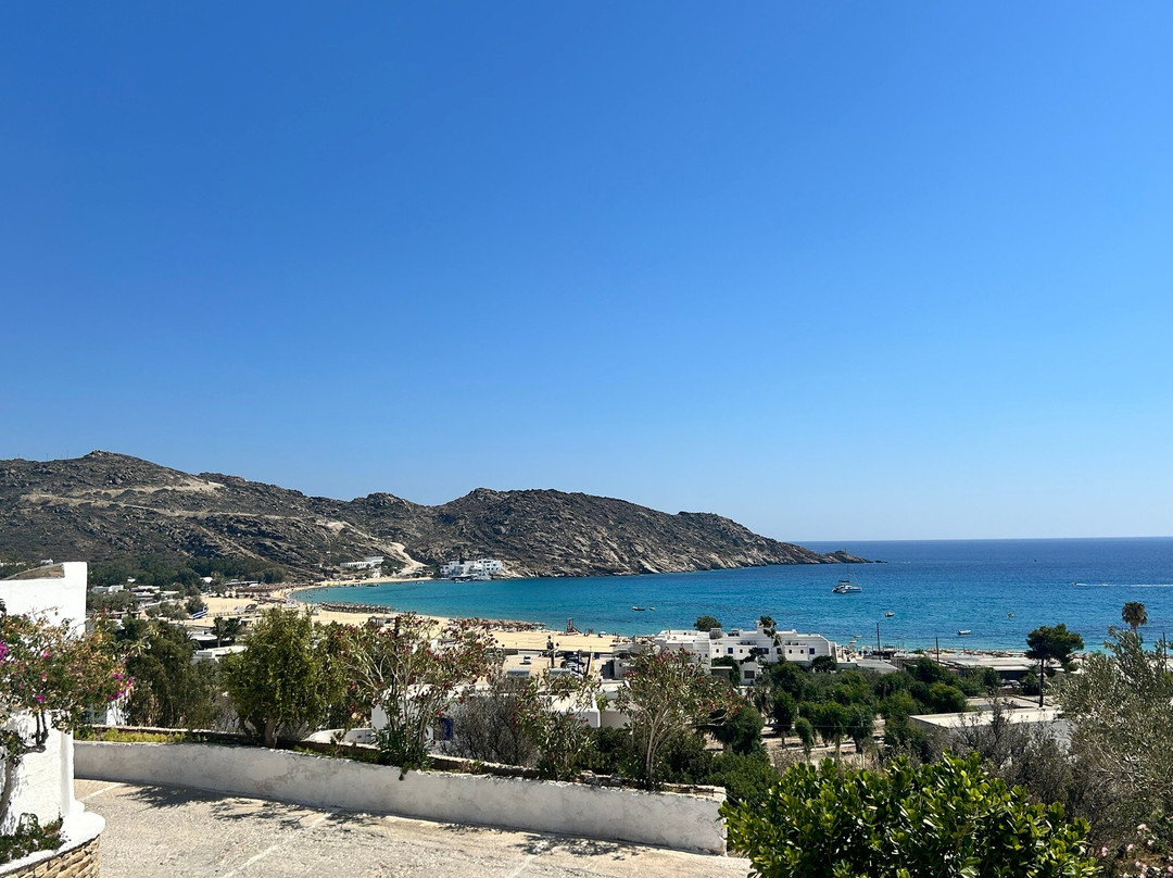 Mantho's Place主图