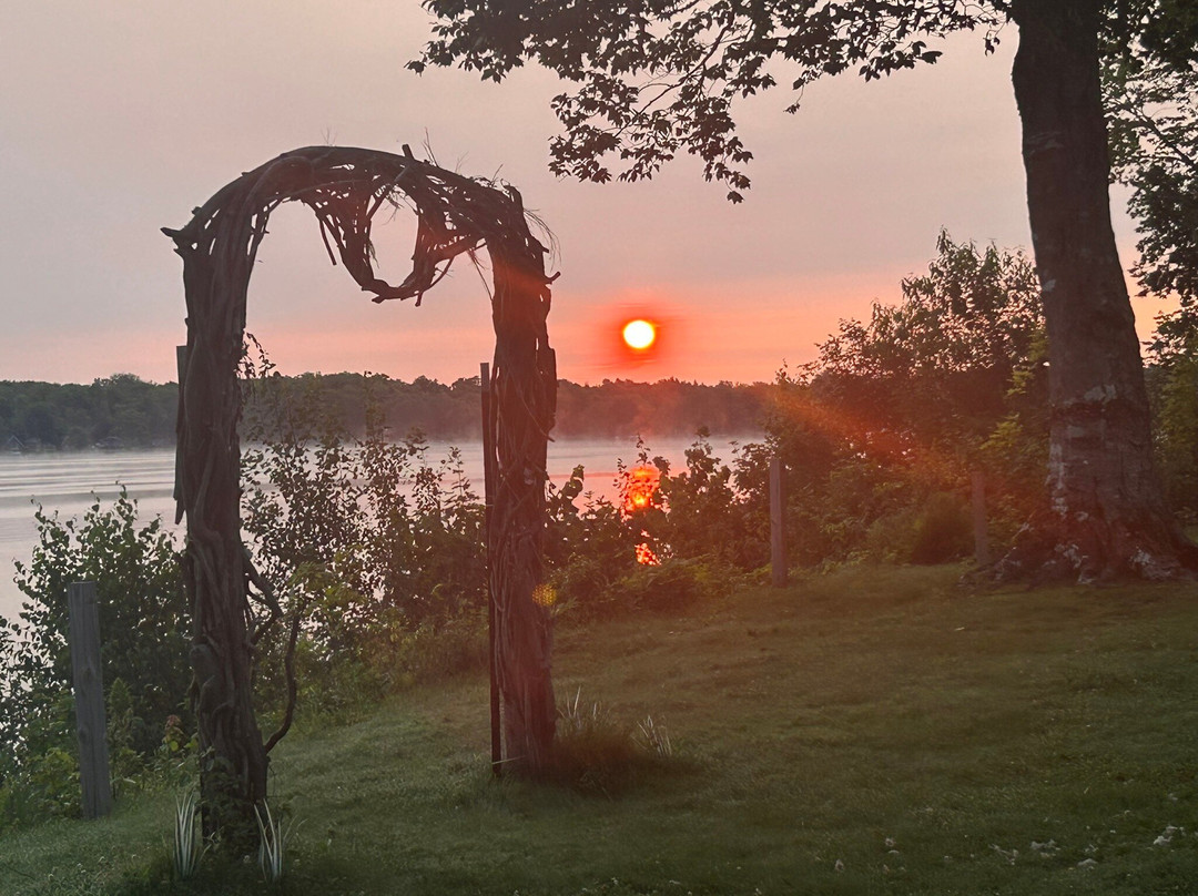 Chamberlin's Ole Forest Inn主图