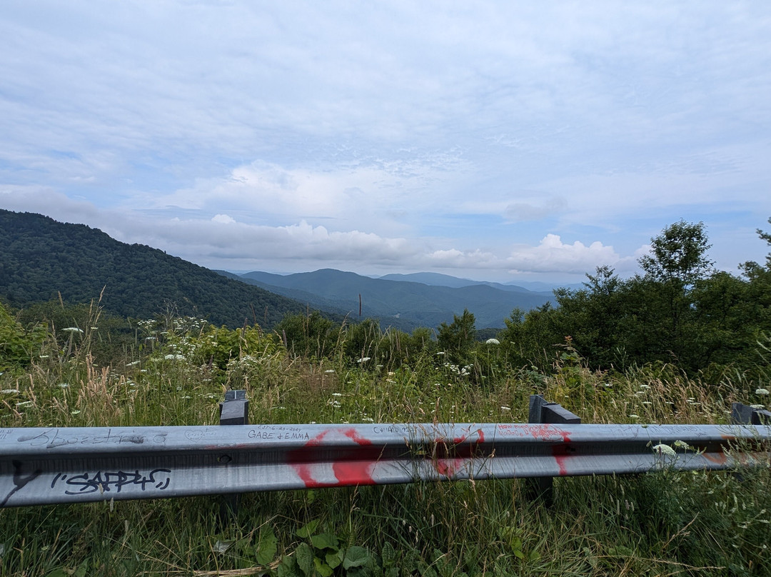 Roan Mountain State Park景点图片