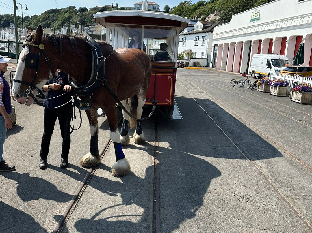 Douglas Bay Horse Tramway-Douglas必去景点