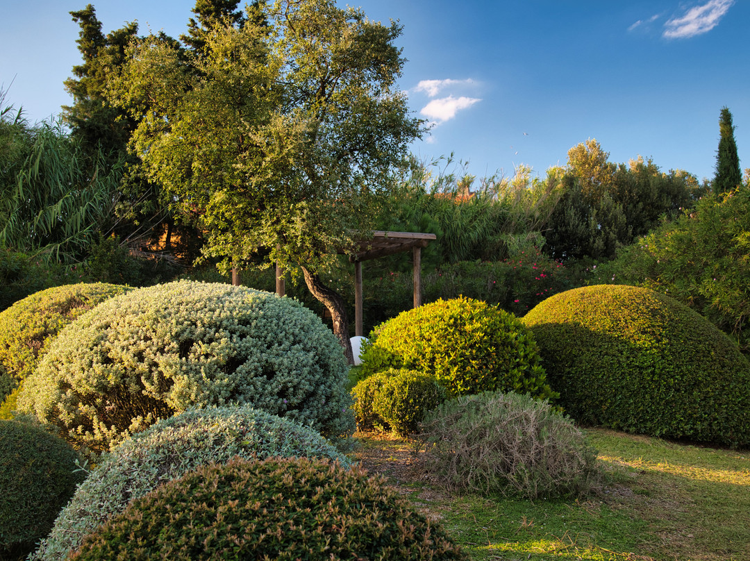 Botanical Dry Garden景点图片