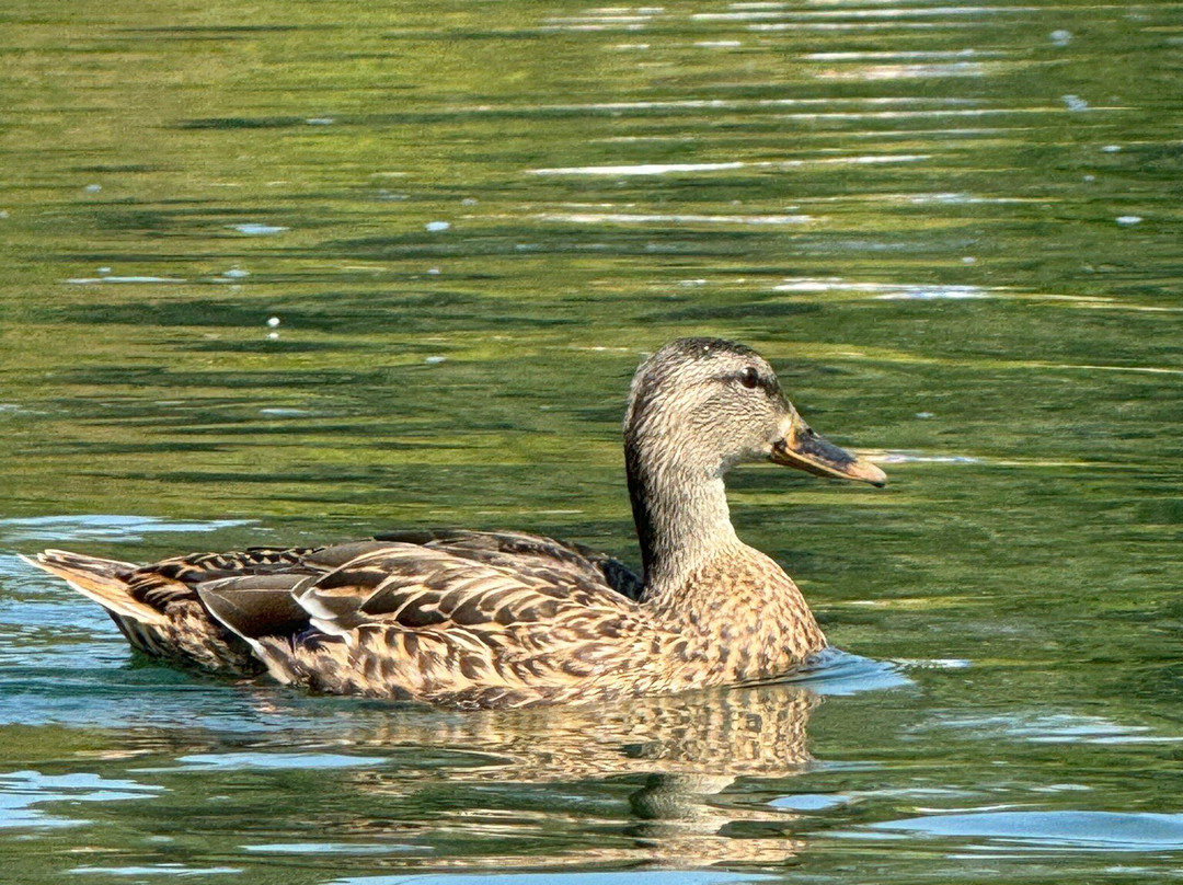 Leavenworth Outdoor Center-莱文沃思必去景点