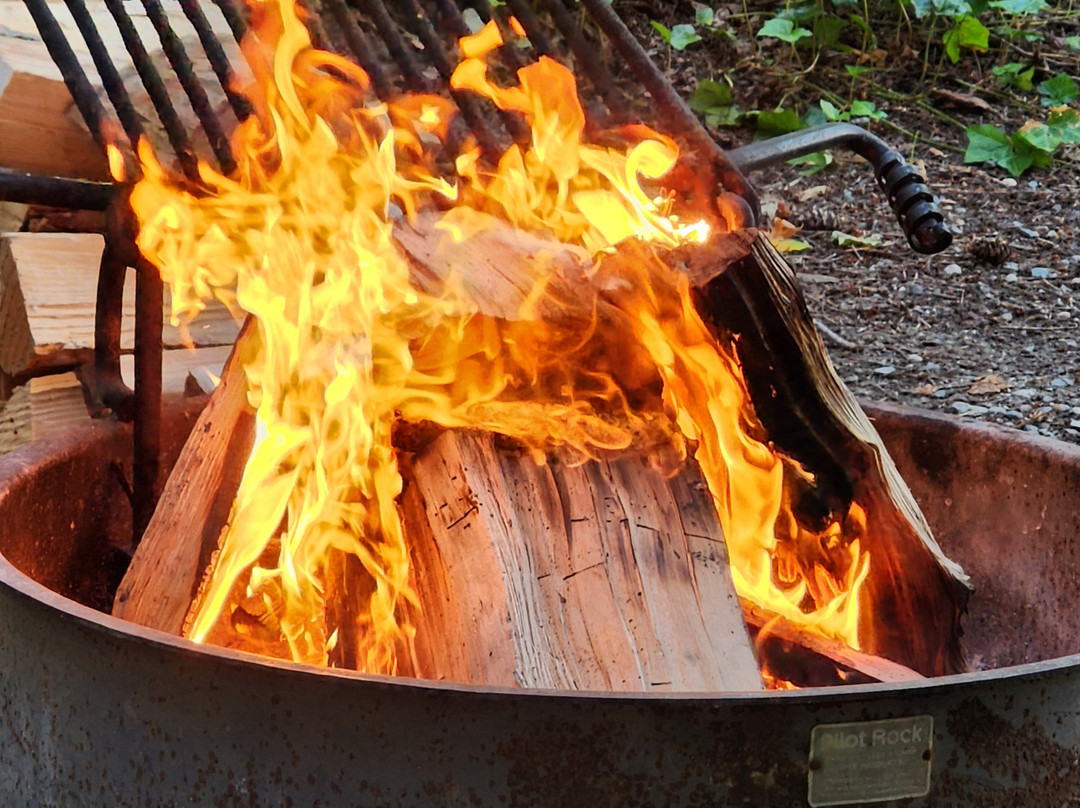 Kayak Point Regional County Park-Stanwood必去景点