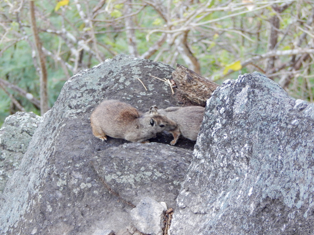 Baia dos Golfinhos-费尔南多-迪诺罗尼亚群岛必去景点