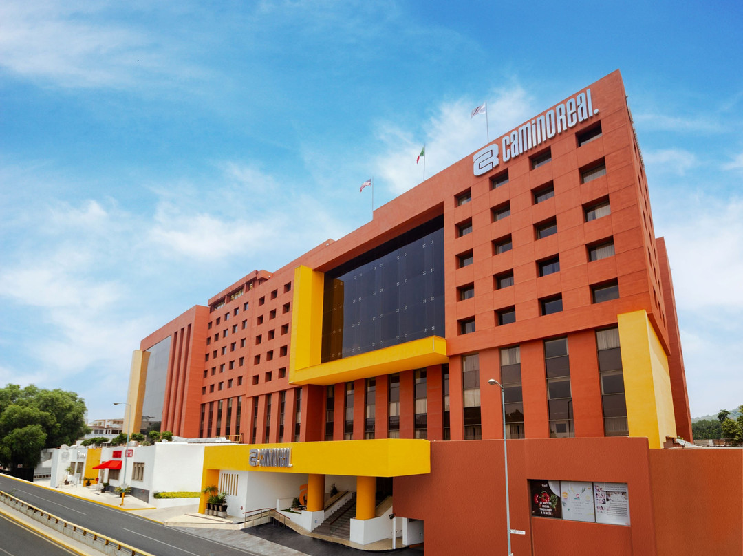 Camino Real Aeropuerto主图