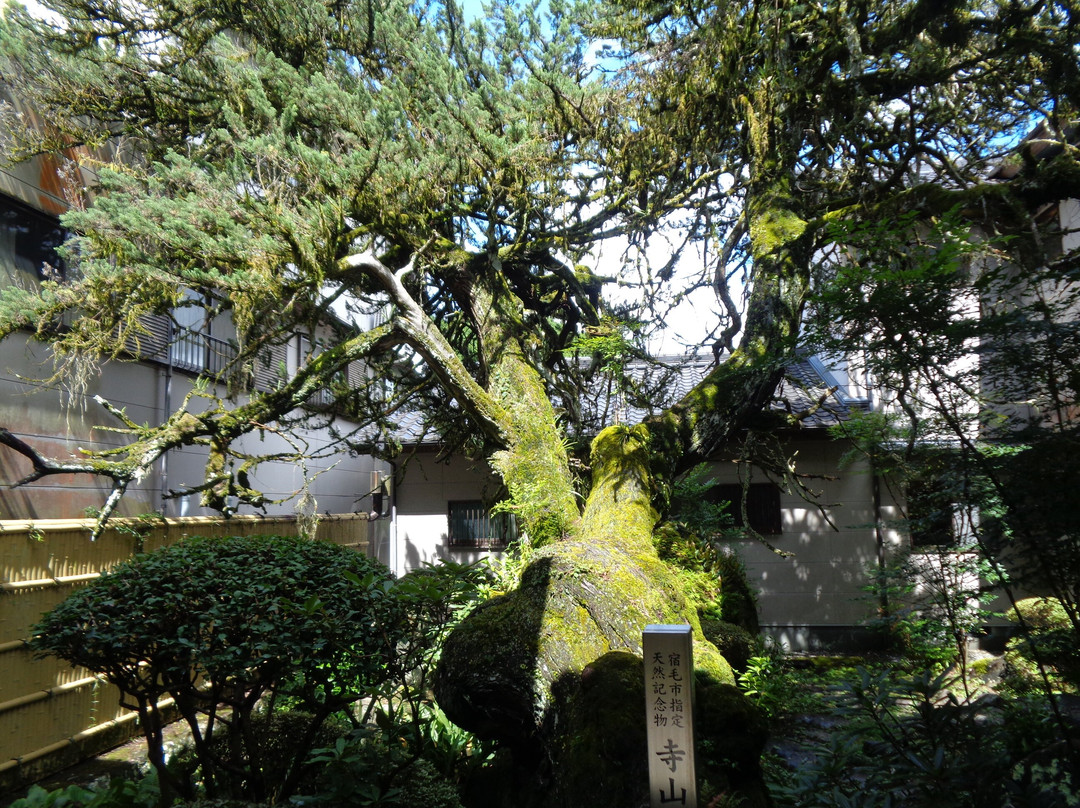 Terayama no Ibuki-宿毛市必去景点