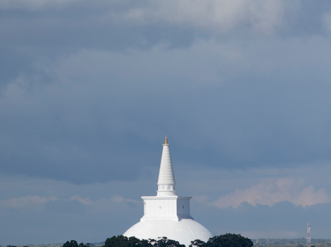 The Lake Forest Hotel主图