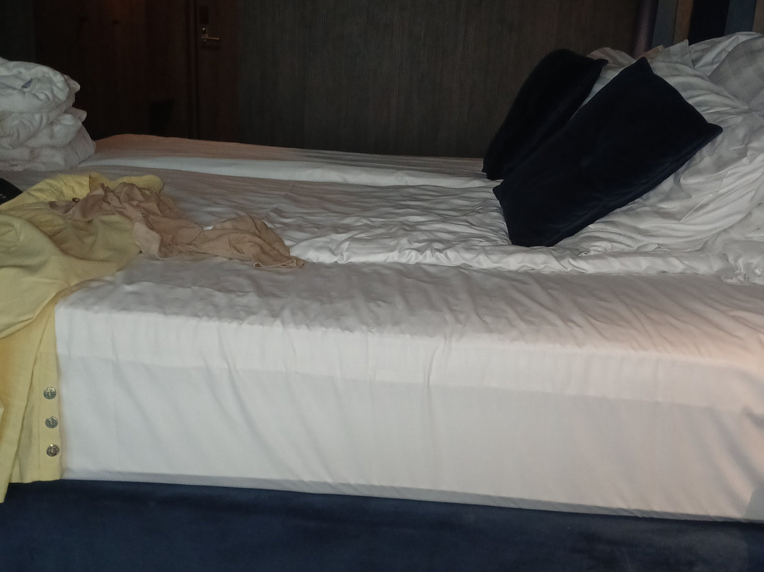 Wellton Riverside Spa Hotel主图