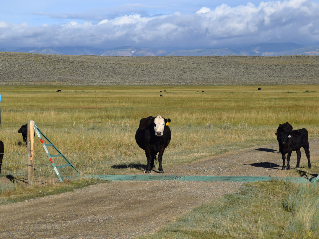 Arapaho National Wildlife Refuge景点图片