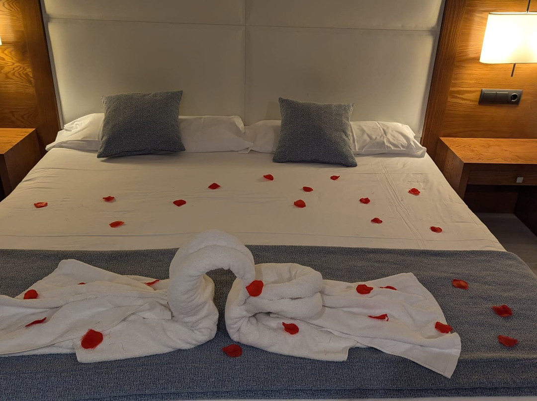 Protur Palmeras Playa Hotel主图