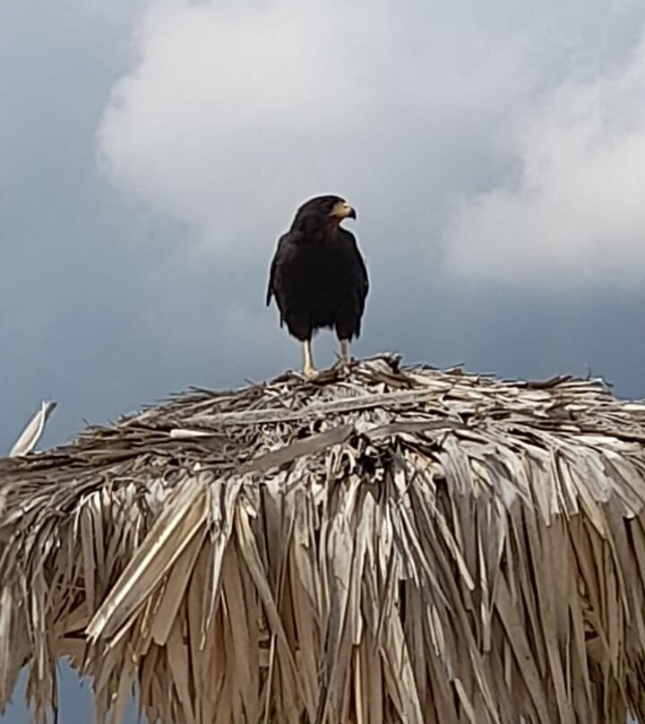 Playa Miramar-Ciudad Madero必去景点