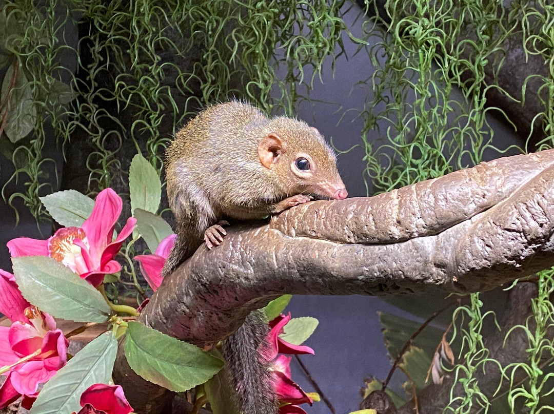 Fort Wayne Zoo-韦恩堡必去景点