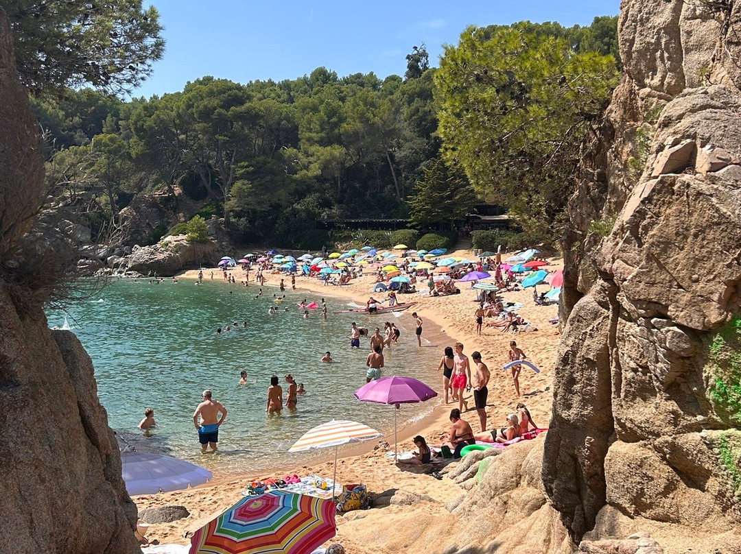 Playa de Santa Cristina景点图片