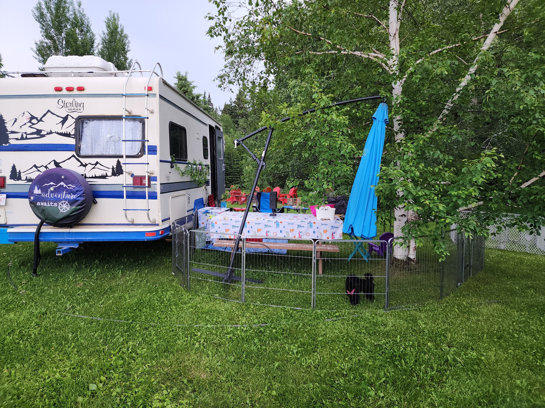 Evergreen Birch Lodge and Resort主图