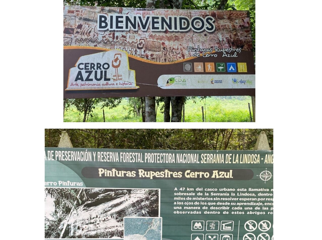 Guaviare Nativo景点图片