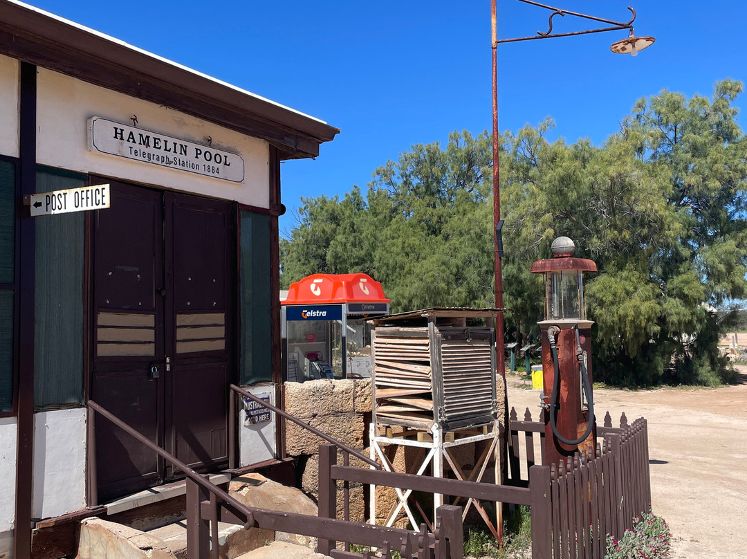 Hamelin Pool Telegraph Station-Hamelin Pool必去景点
