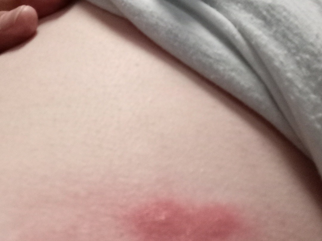 Hampton Inn & Suites Des Moines/Urbandale主图