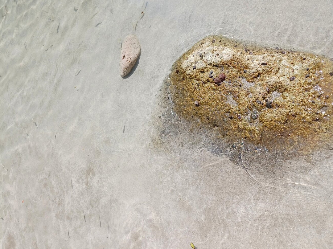 Spiaggia Compoltitu-博萨必去景点