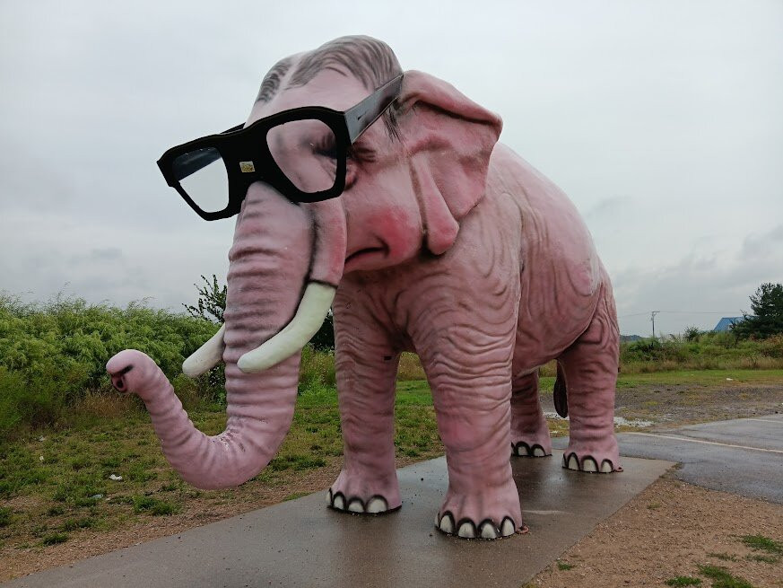 Pink Elephant-DeForest必去景点