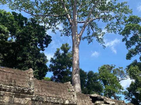 Angkor7th Travel-金边必去景点