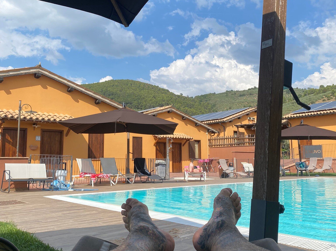 Il Borgo dell'Ulivo主图