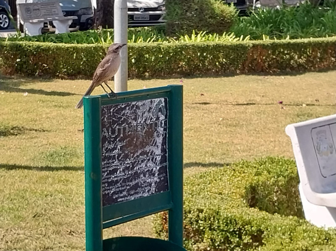 Prefeito Mario Zucato square-Monte Siao必去景点