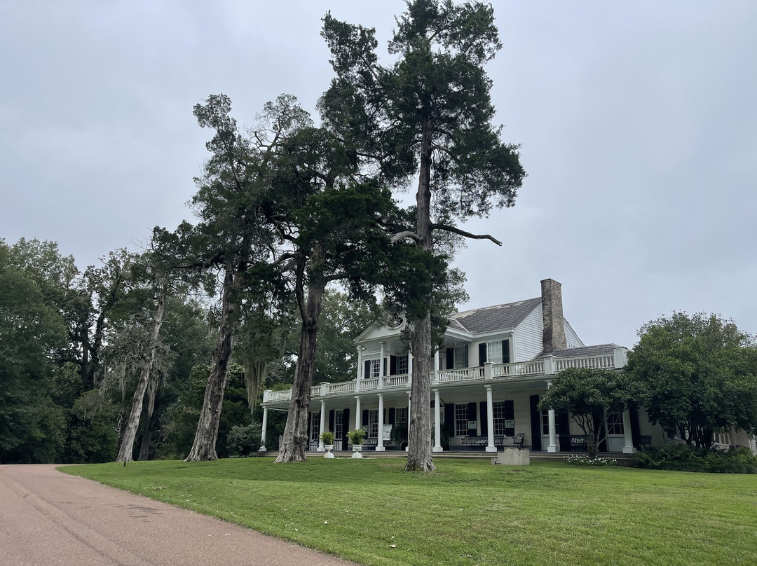 Linden - A Historic Bed and Breakfast主图