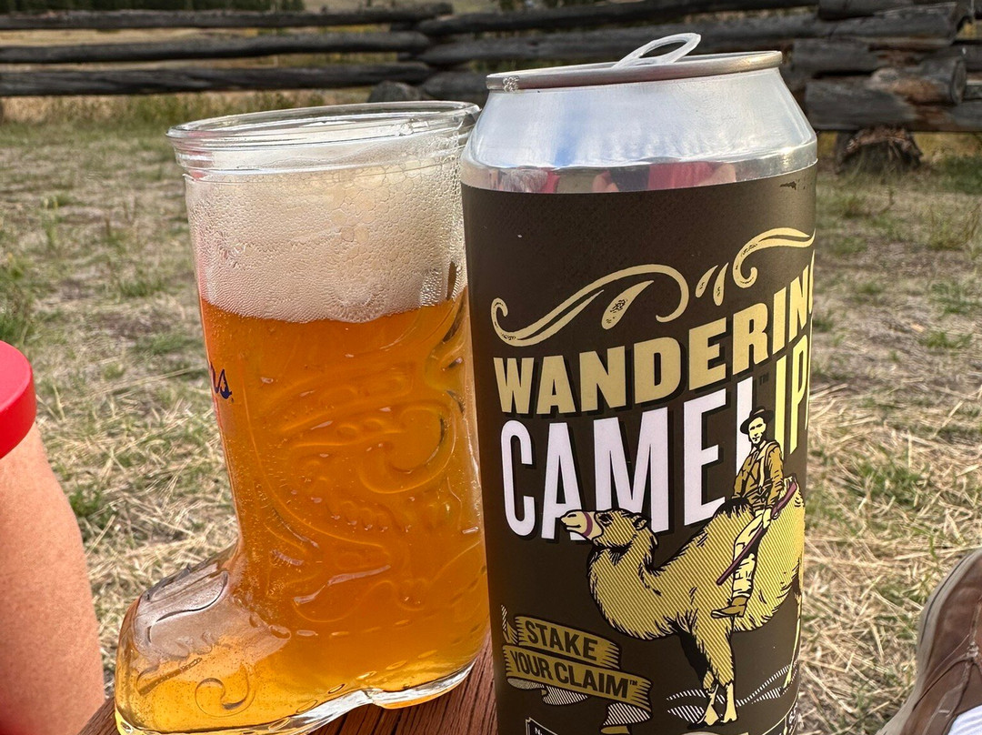 The Historic Chilcotin Lodge主图