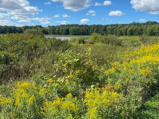 Sandy Ridge Reservation-North Ridgeville必去景点