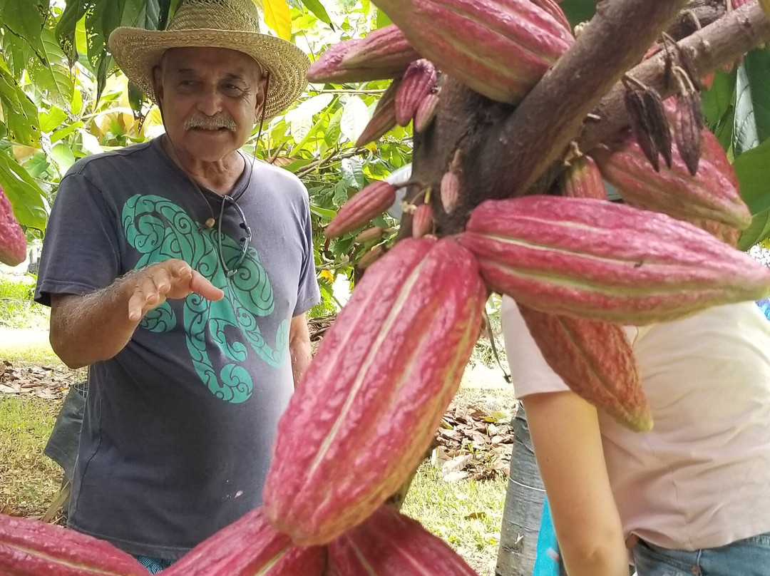 Mahi‘ai Made-希洛必去景点
