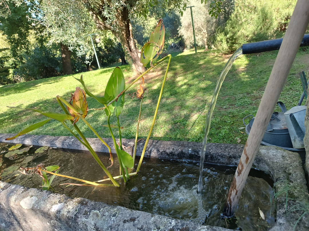 Bio & B Italyke主图