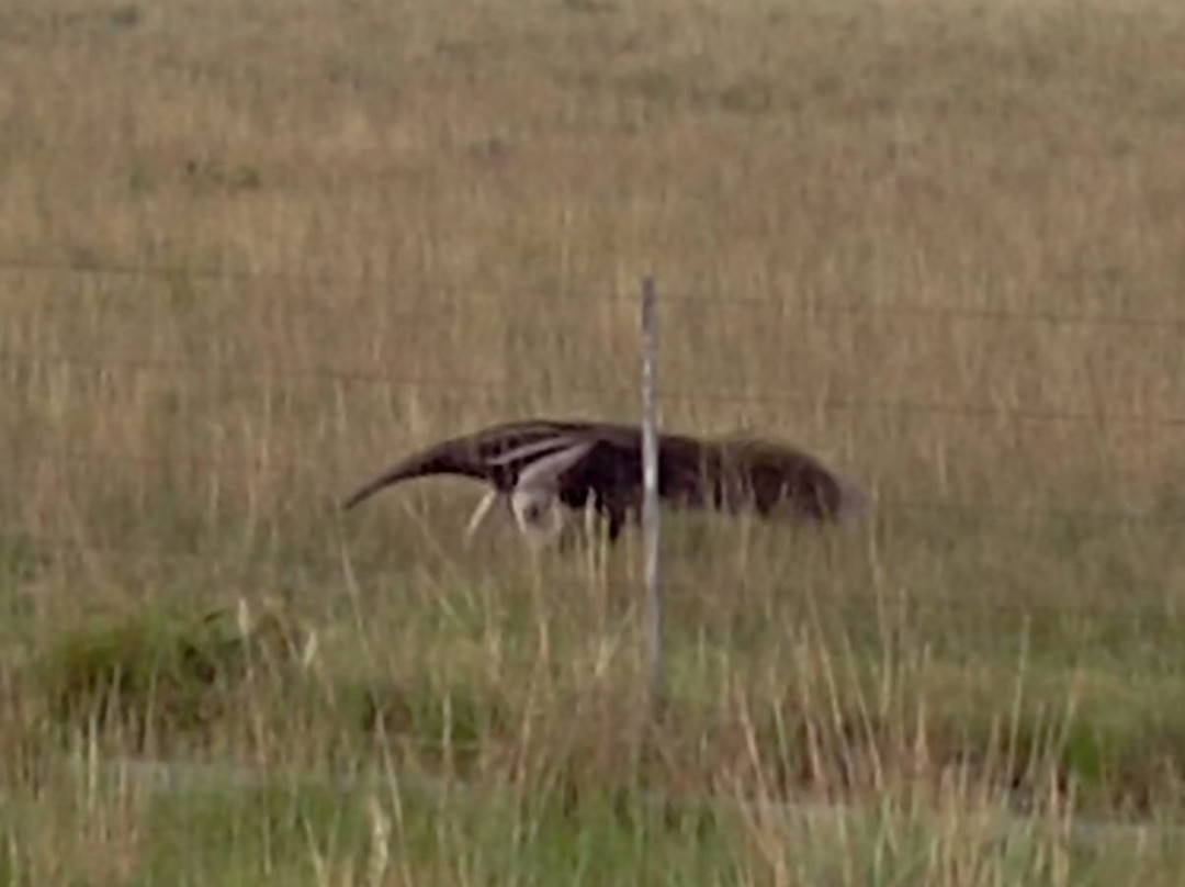 Lago Do Robertinho-Boa Vista必去景点