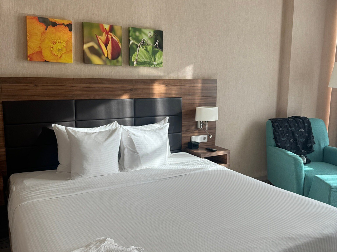 Elements Kirov Hotel主图