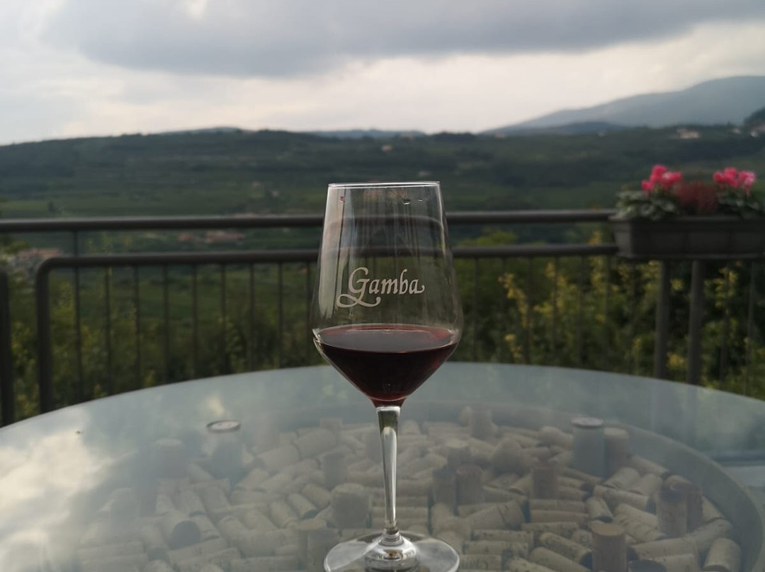 Gamba Vineyards and Winery景点图片