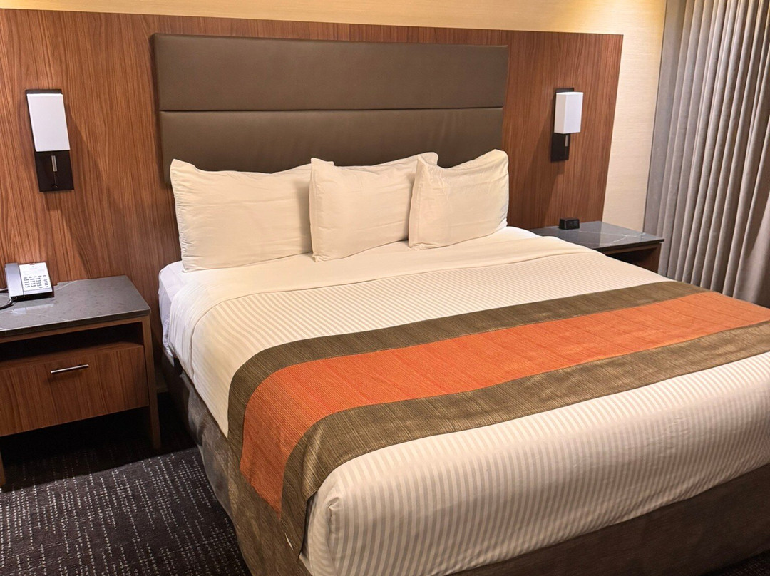 歌剧院酒店主图